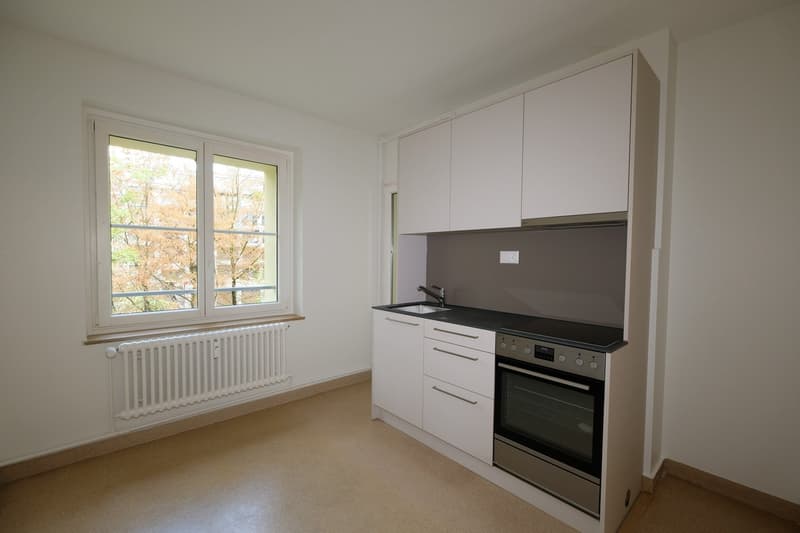 Living in the trendy St. Johann quarter in Basel (2)