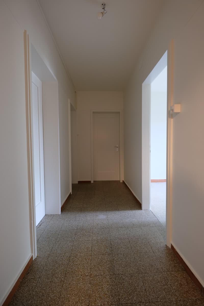 Living in the trendy St. Johann quarter in Basel (4)