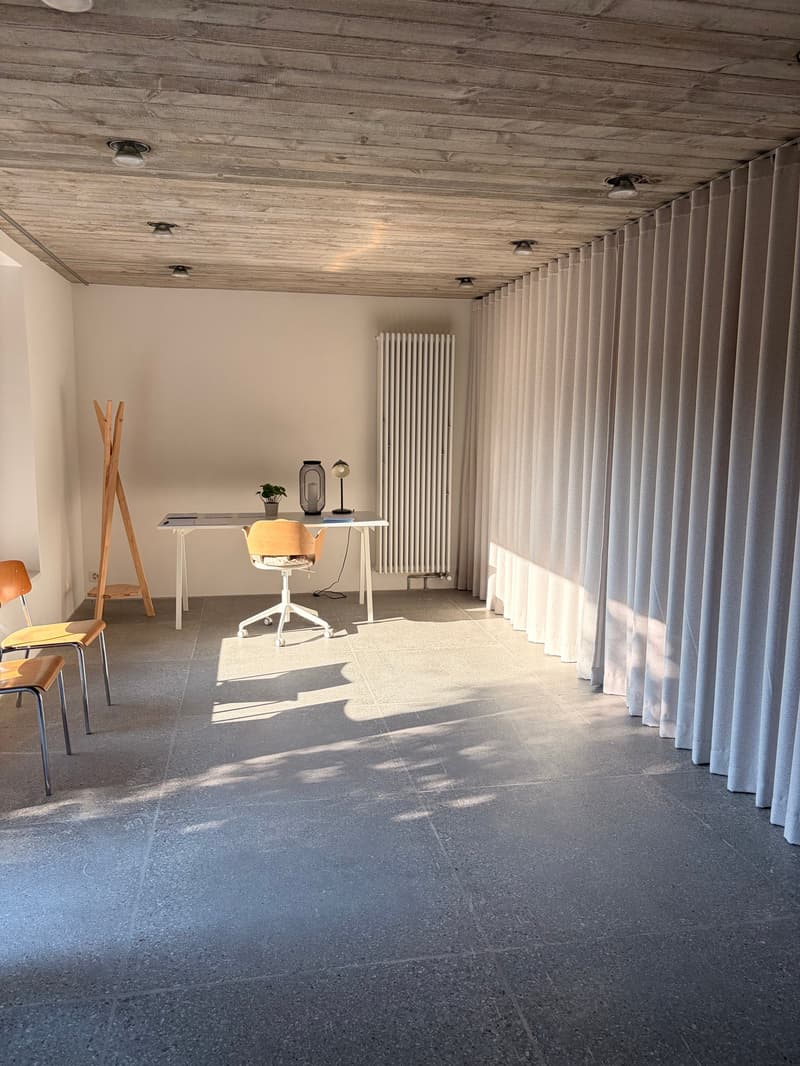 Domino Riehen ¦ Loft unico ¦ Primo affitto (19)