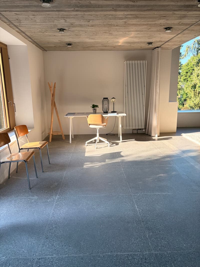 Domino Riehen ¦ Loft unico ¦ Primo affitto (11)