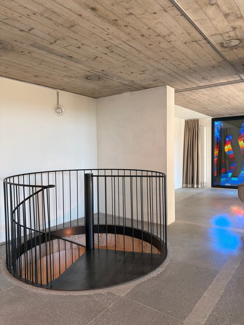 Domino Riehen ¦ Loft unico ¦ Primo affitto (13)