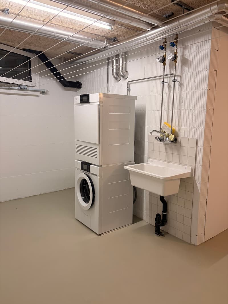 Domino Riehen ¦ Loft unico ¦ Primo affitto (17)