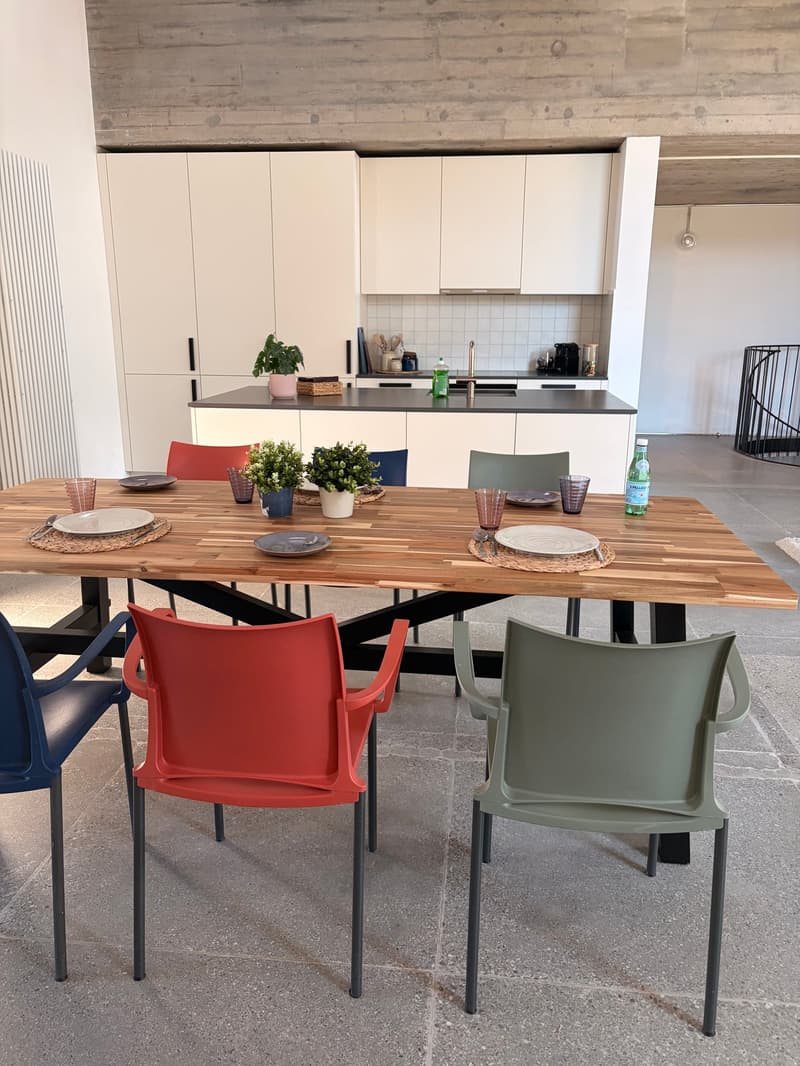 Domino Riehen ¦ Loft unico ¦ Primo affitto (12)