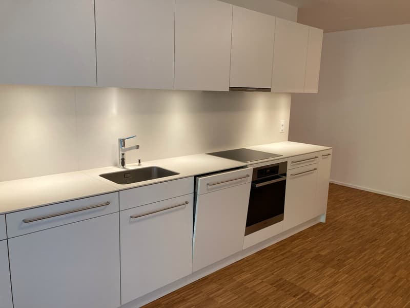 Appartement moderne représentatif (7)