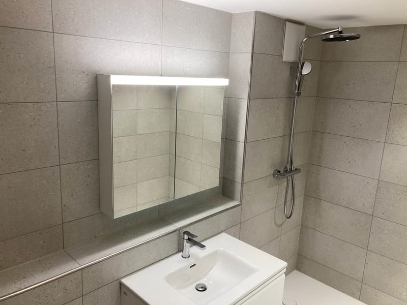 Appartement moderne représentatif (3)