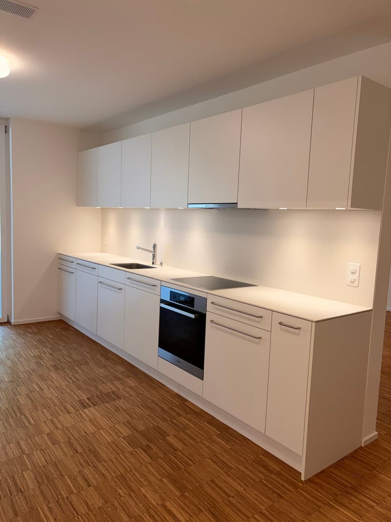 Appartement moderne représentatif (8)