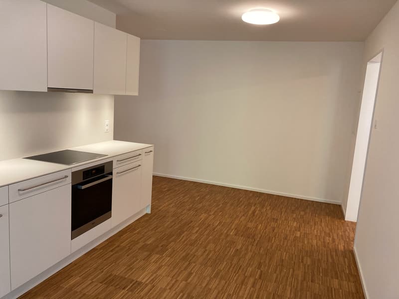 Appartement moderne représentatif (6)
