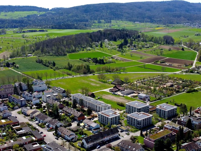 Wohnung W12 ¦ Wohneigentum auf Zeit (WAZ) ¦ Sommeraktion bis 15.09.2026 (4)