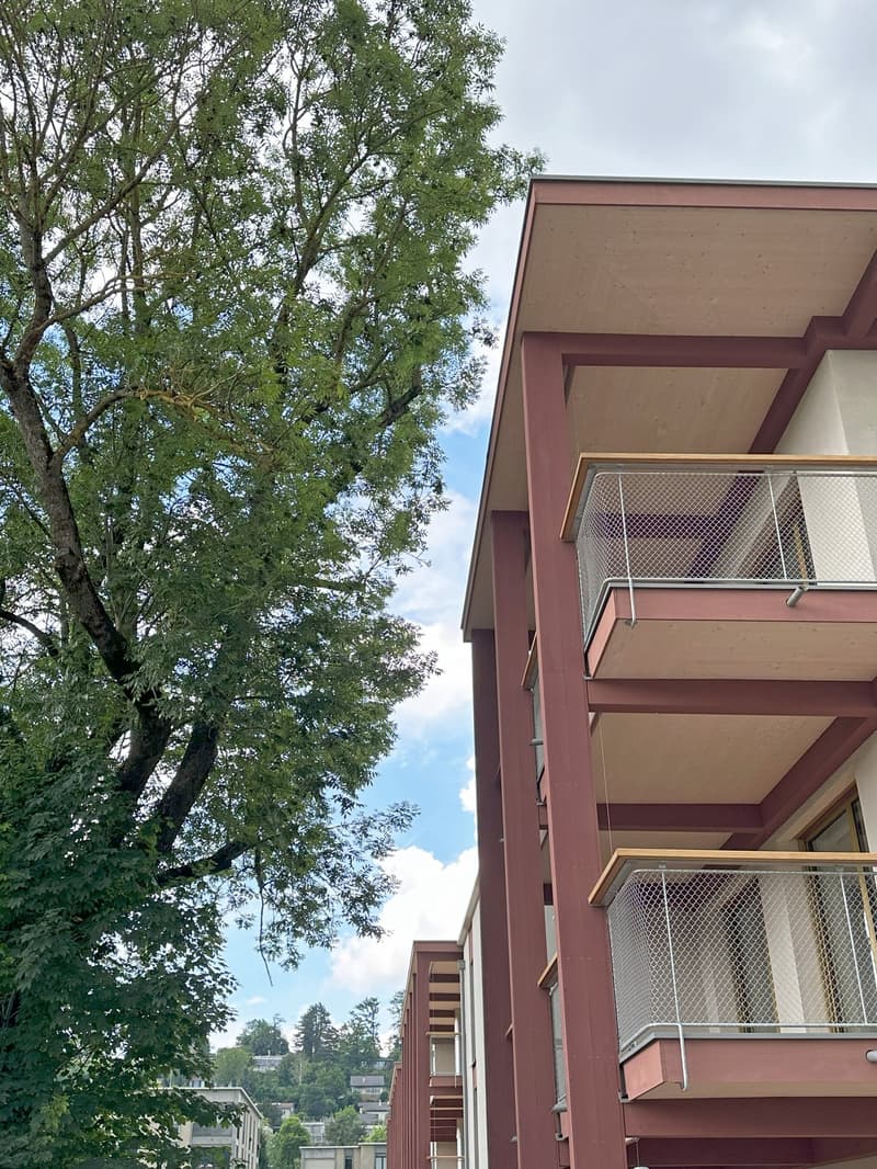 Wohnung W12 ¦ Wohneigentum auf Zeit (WAZ) ¦ Sommeraktion bis 15.09.2026 (13)
