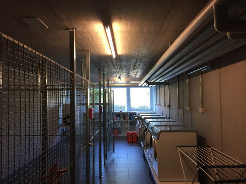 Modern wohnen an ruhiger Lage (12)