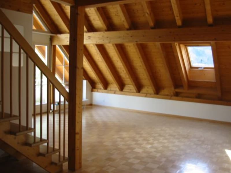 Grosse 2.5-Zimmerwohnung mit Galerie (2)