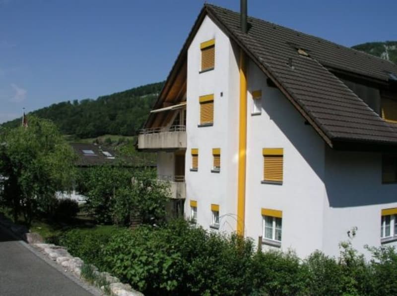 Grosse 2.5-Zimmerwohnung mit Galerie (6)