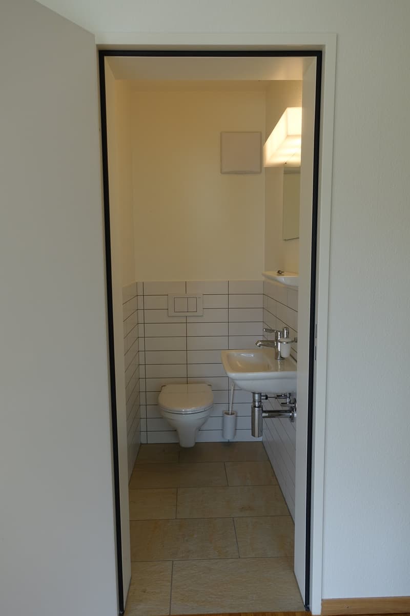 Helle und grosszügige Wohnung (7)
