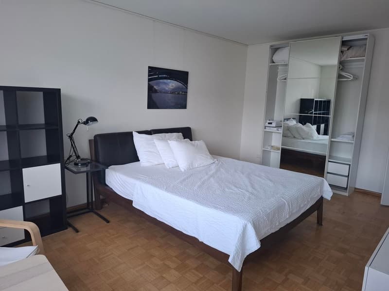 4057 ¦ OASE ¦ möblierte 1-Zimmerwohnung im 3.OG nähe Messe Basel (8)