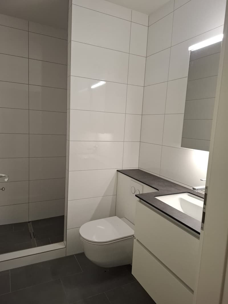 Charmante 1.5-Zimmer-Wohnung in Basel mit Gartensitzplatz (5)