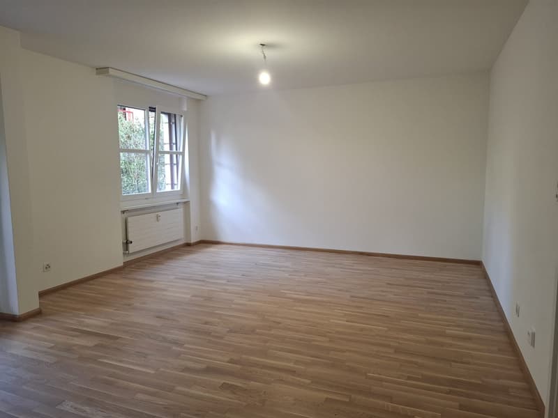 Charmante 1.5-Zimmer-Wohnung in Basel mit Gartensitzplatz (8)