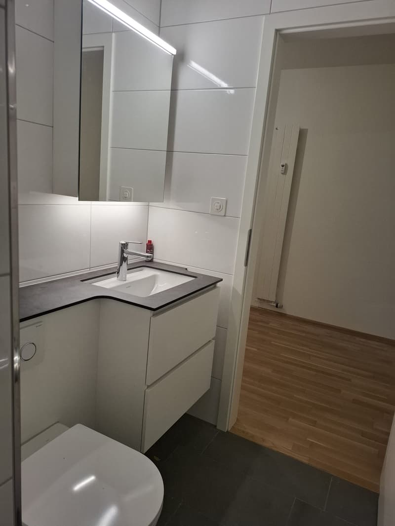 Charmante 1.5-Zimmer-Wohnung in Basel mit Gartensitzplatz (4)