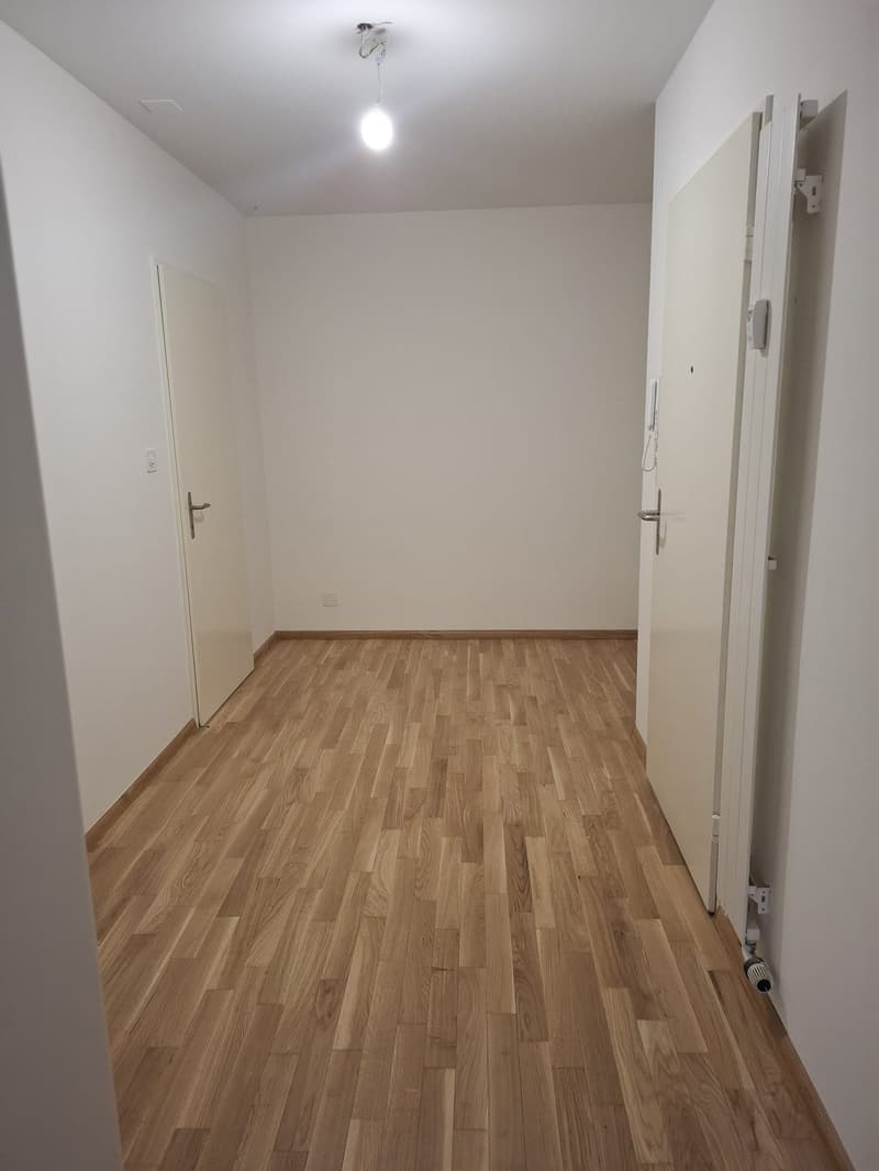 Charmante 1.5-Zimmer-Wohnung in Basel mit Gartensitzplatz (6)