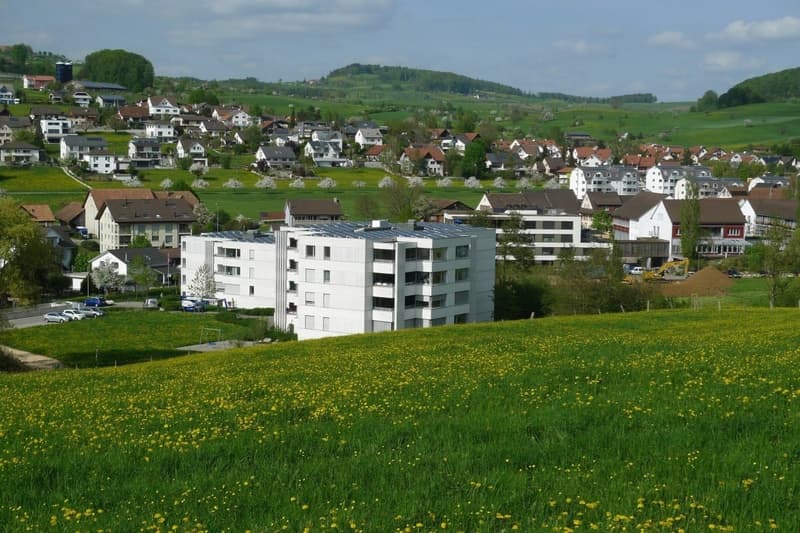 Moderne Familien-Genossenschaftswohnung (5)