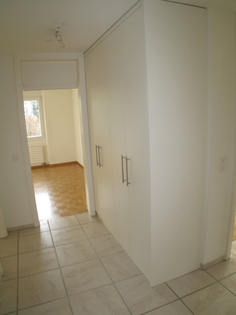 An empty hallway with a closet on the right side and a wooden floor.