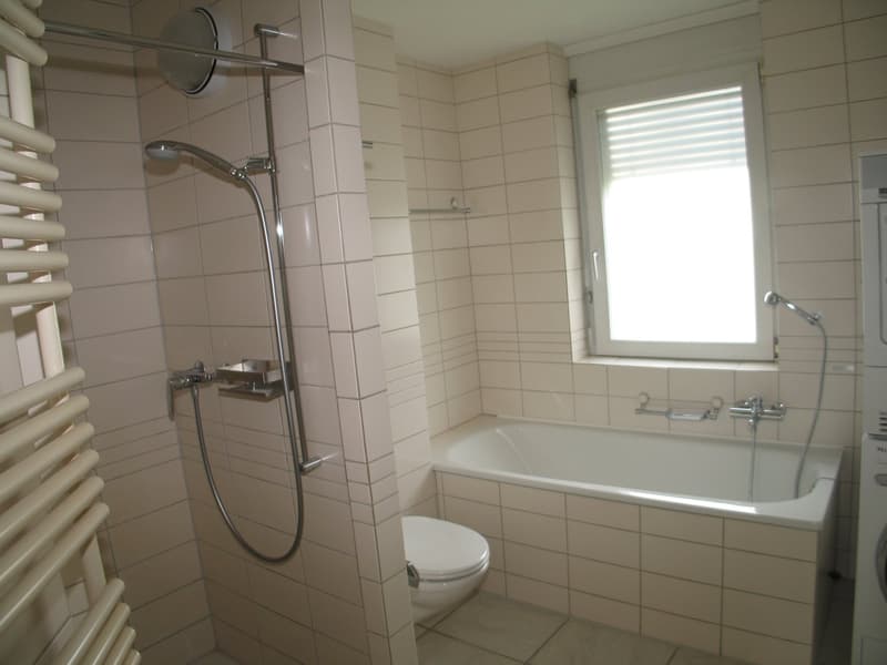 Bathtub, toilet, shower, towel rack, window