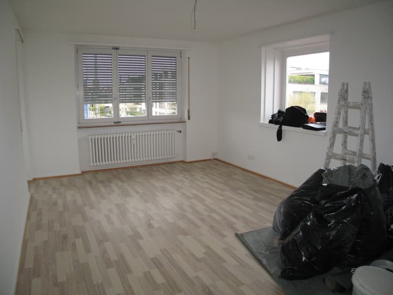 Charming 4-room apartment with balcony in Allschwil, freshly renovated (7)