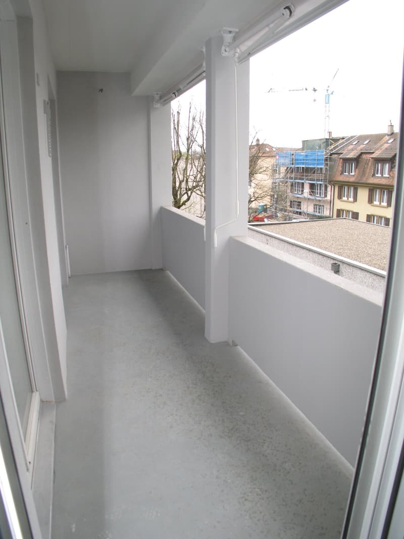 Charming 4-room apartment with balcony in Allschwil, freshly renovated (10)