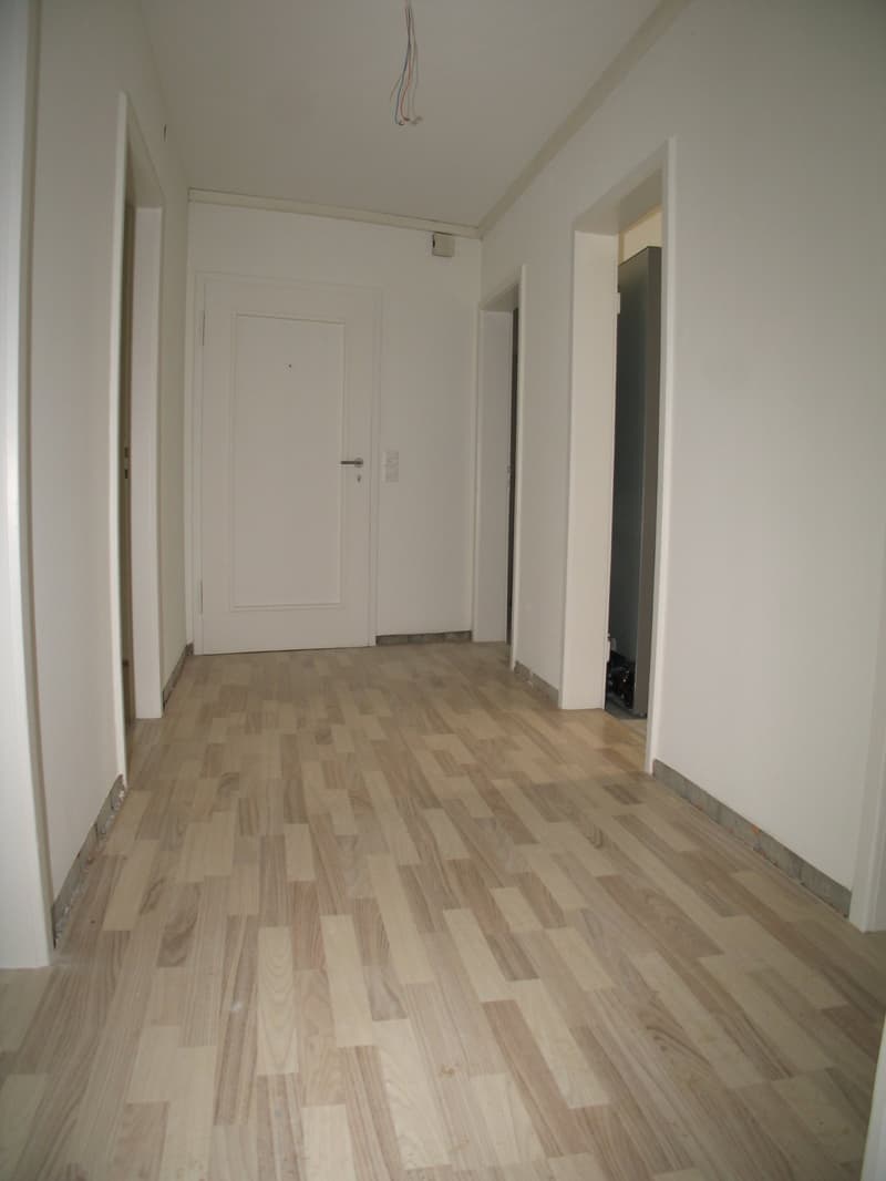 Charming 4-room apartment with balcony in Allschwil, freshly renovated (9)