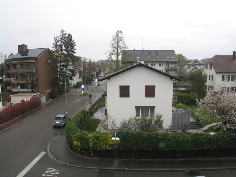 Charming 4-room apartment with balcony in Allschwil, freshly renovated (13)