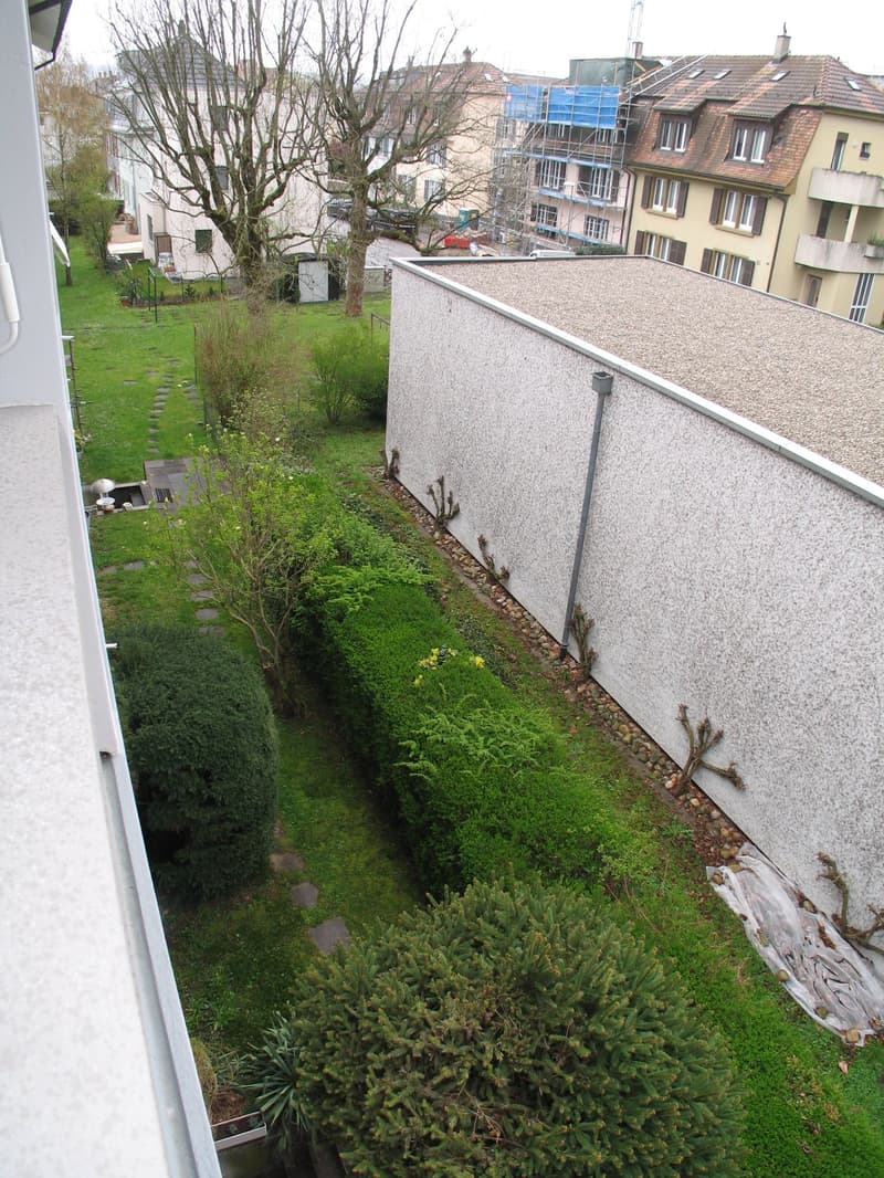 Charming 4-room apartment with balcony in Allschwil, freshly renovated (11)