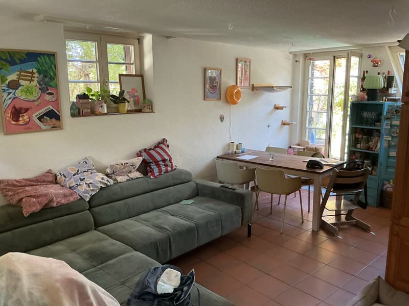 Charmantes "Stöckli/Riegel-Einfamilienhaus" in Allschwil (5)