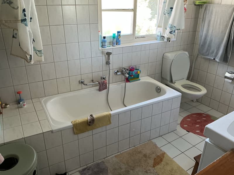 Charmantes "Stöckli/Riegel-Einfamilienhaus" in Allschwil (2)
