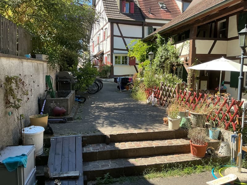 Charmantes "Stöckli/Riegel-Einfamilienhaus" in Allschwil (8)