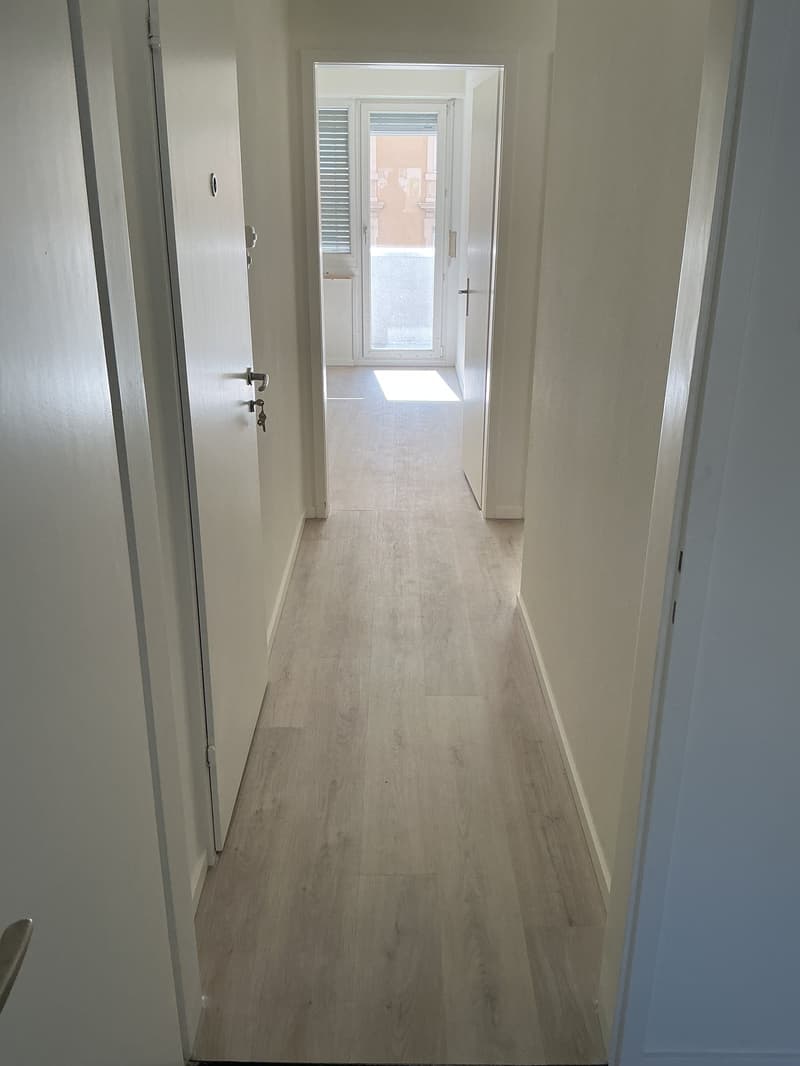 Helle 2-Zimmer-Wohnung mit Balkon in Basel – frisch renoviert! (2)
