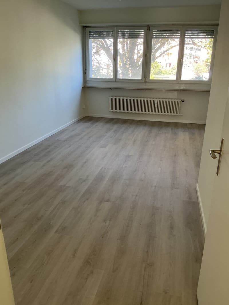 Helle 2-Zimmer-Wohnung mit Balkon in Basel – frisch renoviert! (1)