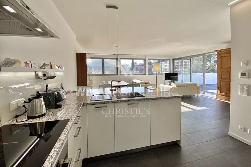 Lugano: Appartamento penthouse con grande terrazza in vendita (3)