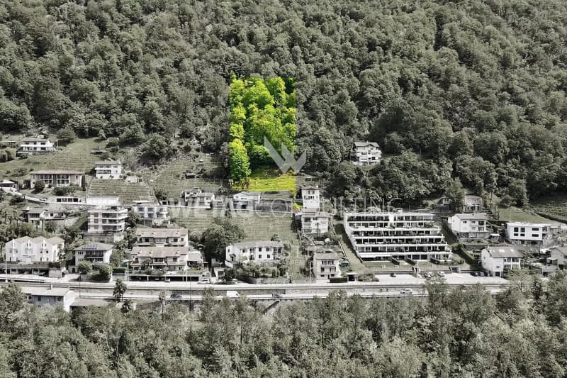 Joli terrain à bâtir à Solduno avec vue panoramique à vendre (9)