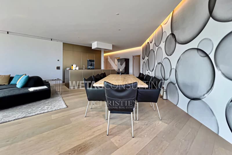 Exclusive apartment with 180 panoramic view of Lake Maggiore in Brissago for sale (11)