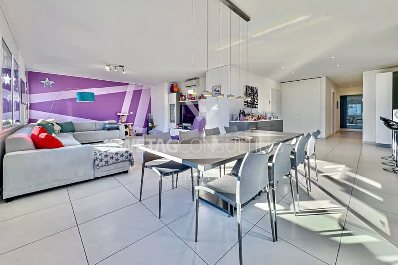 Modern penthouse apartment with lake view in central location in Locarno for sale (5)