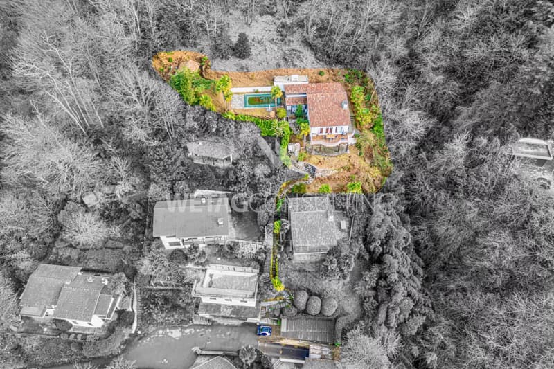 Charming small villa with outdoor pool, lake view in Montagnola for sale (13)