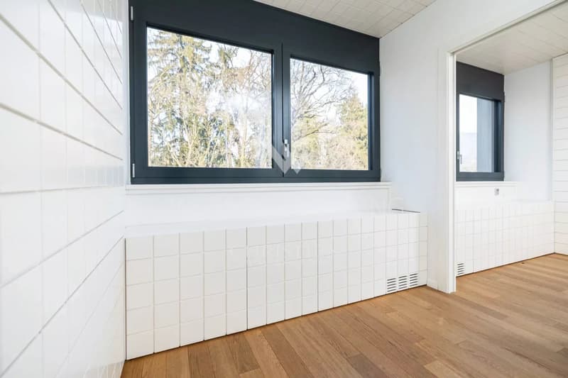 Bureaux représentatifs modernes à vendre à Lugano-Sorengo (7)