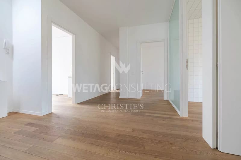 Bureaux représentatifs modernes à vendre à Lugano-Sorengo (8)