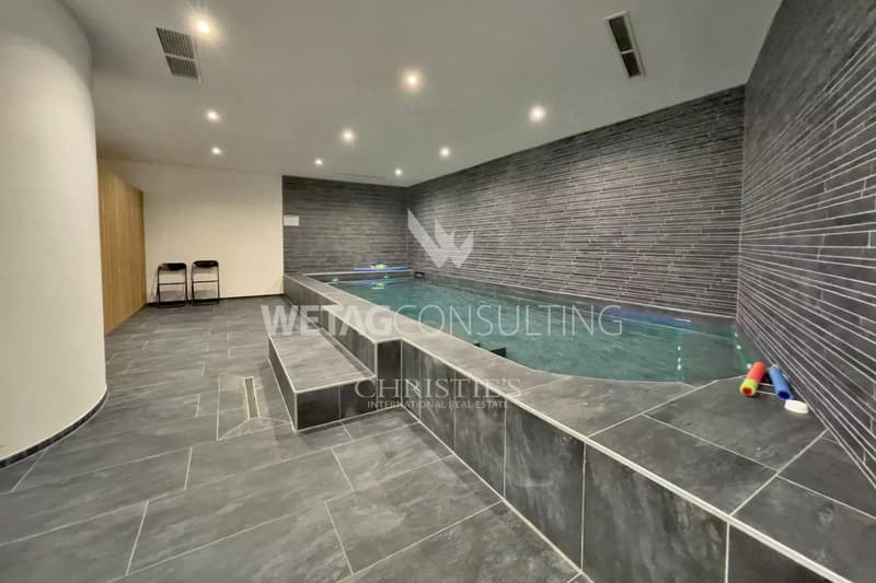 Lugano-Muzzano : Charmant penthouse à vendre, directement sur le lac & avec terrasse sur le toit, également possible en tant que deuxième résidence (10)