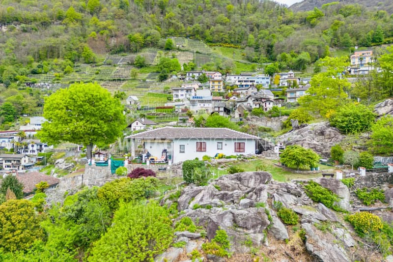 Riazzino?Lavertezzo: Villa mediterranea con grande giardino e piscina esterna in vendita (9)