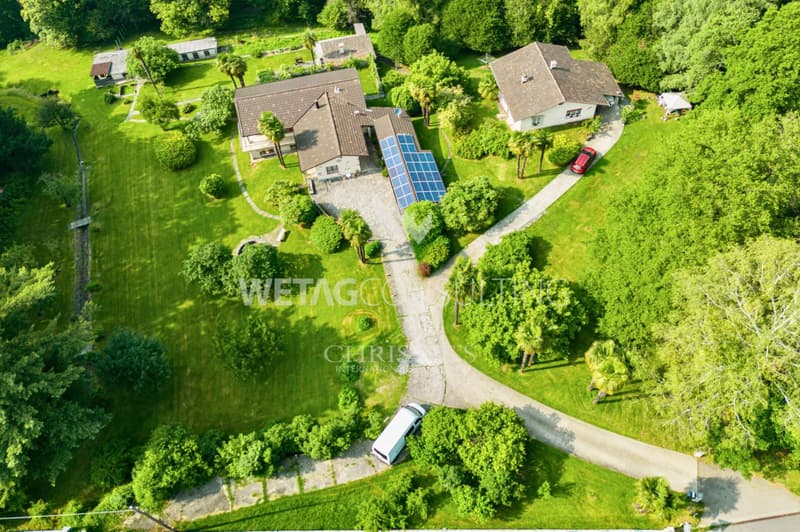 Propriété spacieuse dans le vert avec villa principale, maison d'hôtes et grotte indépendante, à vendre à Rivera-Monteceneri (13)