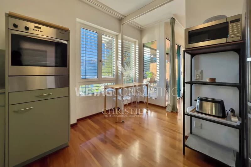 Cozy apartment in Montagnola with lake view &amp; private garden for sale (7)