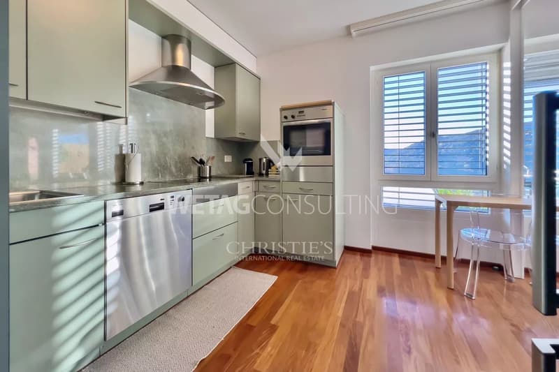Cozy apartment in Montagnola with lake view &amp; private garden for sale (3)