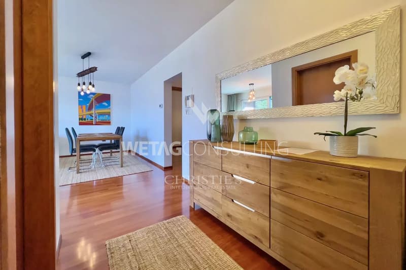 Cozy apartment in Montagnola with lake view &amp; private garden for sale (9)