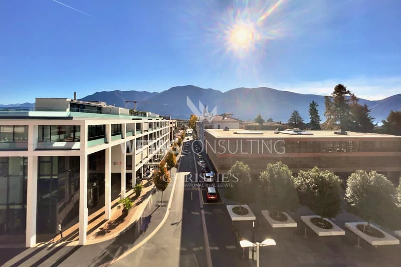 Residenza Palace 1110: Appartamento moderno di 5,5 locali con terrazza in vendita ad Ascona (1)