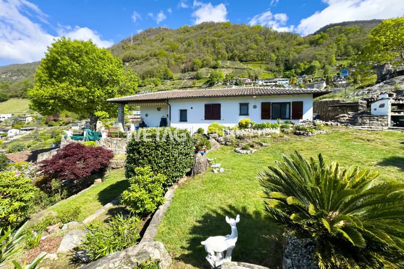 Riazzino?Lavertezzo: Mediterranean Villa with large garden & outdoor pool for sale (11)